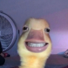 ZerøDay