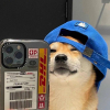 来光凤凰光龙