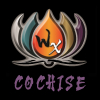 MT][Cochise
