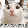 醉不似人间