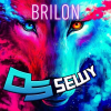 brilon