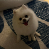 화살표