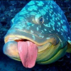 RuKaMar