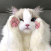 ひなちぇん