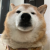 りくせり