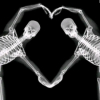 《skeleton》