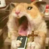 ɴáᴛɢáᴏ