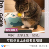 西宮命小冠