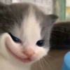 ミ★ⒷộⓉ★彡