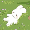 (☆^.^☆)