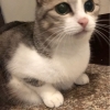 フラッシュ⍣隨