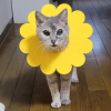 フナタ郎