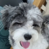 행신동호롱이