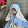의지