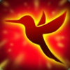 Little Humming Bird (Passive)