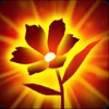 Flower Growing